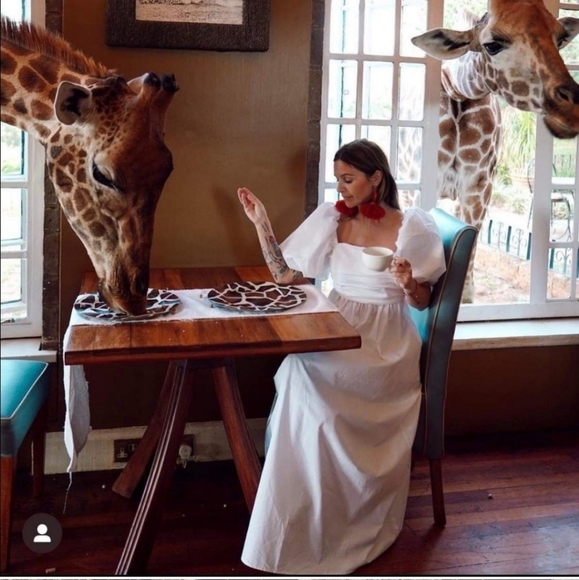 Zara Draped Poplin Midi Dress - Picture 6 of 16